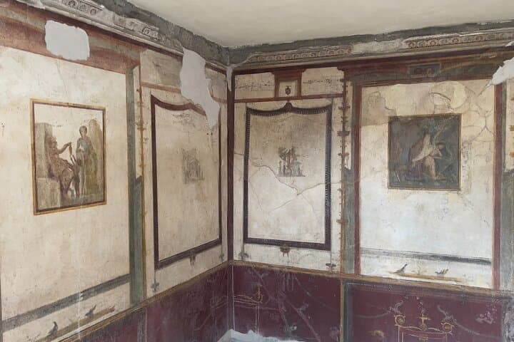 Pompeii, Vesuvius & wine tasting from Amalfi coast all inclusive