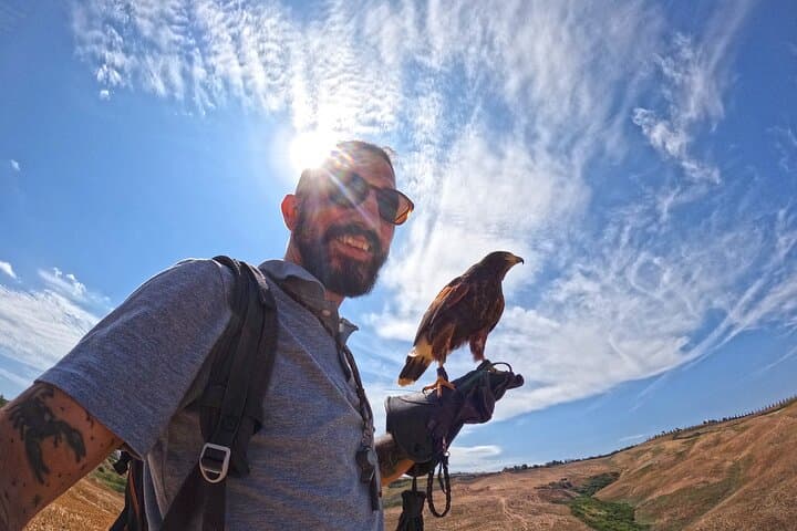 Davide with his Harris buzzard