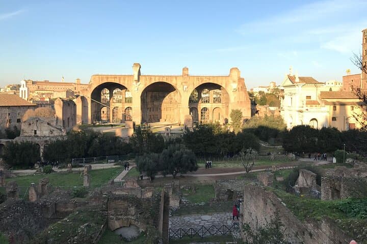 Colosseum, Forum, Palatine Hill with audio guide and Arena or Bus option