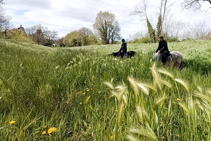 Horseback riding and aperitif 2 hours for beginners