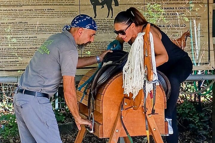 Horseback riding and aperitif 2 hours for beginners