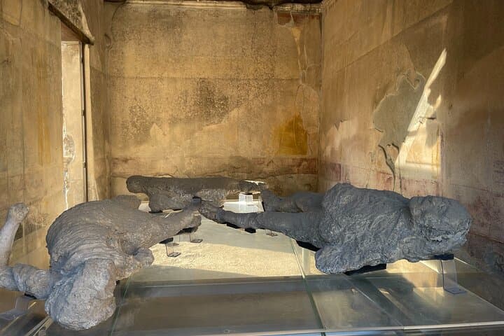 Pompeii, Vesuvius & wine tasting from Positano all inclusive