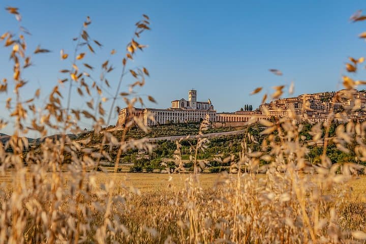 Assisi: Private Tour of St. Francis Basilica