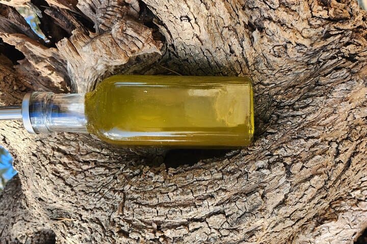 extravirgin olive oil tasting,the story of a farm