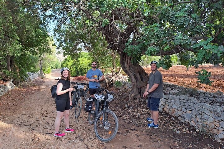 E-bike tour in Ostuni, the olive trees and the rock village