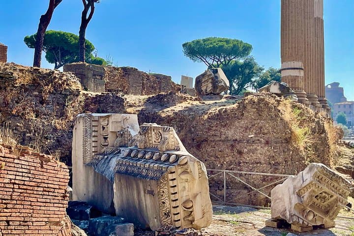 Colosseum, Roman Forum, Palatine Hill and Panoramic Views Tour
