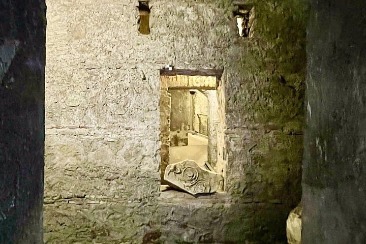 Colosseum, Roman Forum, Palatine Hill, and Panoramic Views Tour
