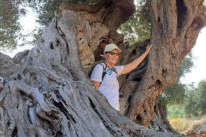 e-bike tour in the plain of the secular olive trees of Ostuni