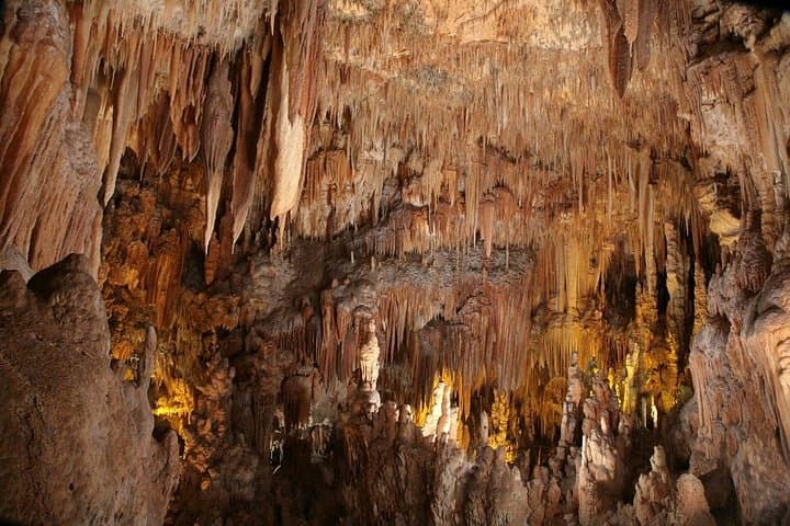 From Bari and Polignano to Sea-Cave Tour Between Land and Sea