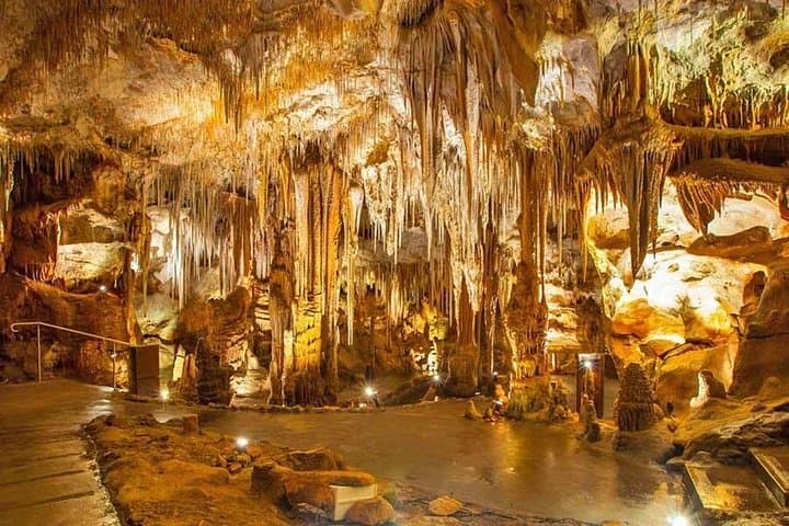 From Bari and Polignano to Sea-Cave Tour Between Land and Sea