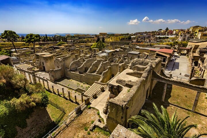 Vesuvius & Herculaneum Small Group Tour from Naples