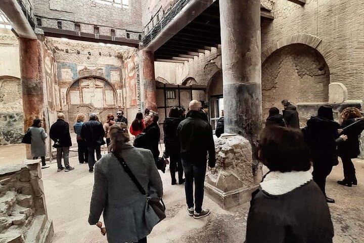 Vesuvius & Herculaneum Small Group Tour from Naples