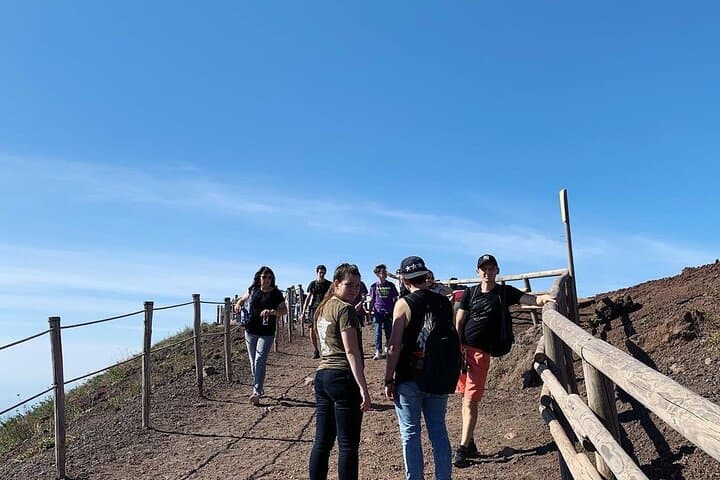 Vesuvius & Herculaneum Small Group Tour from Naples