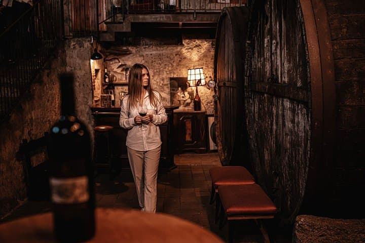 Etna Urban Winery - Tasting with Street Food Platter and vineyard