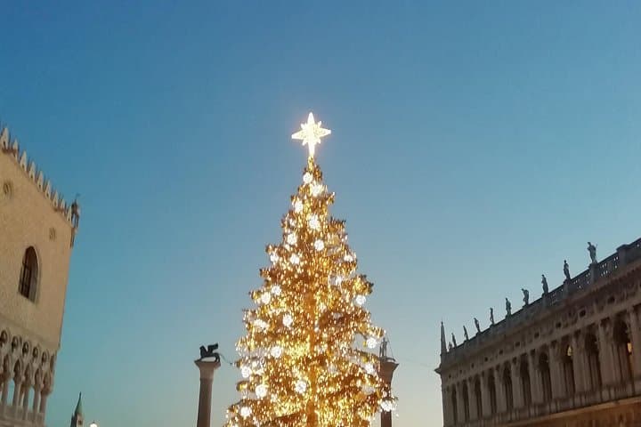 Tree in Piazza San Marco