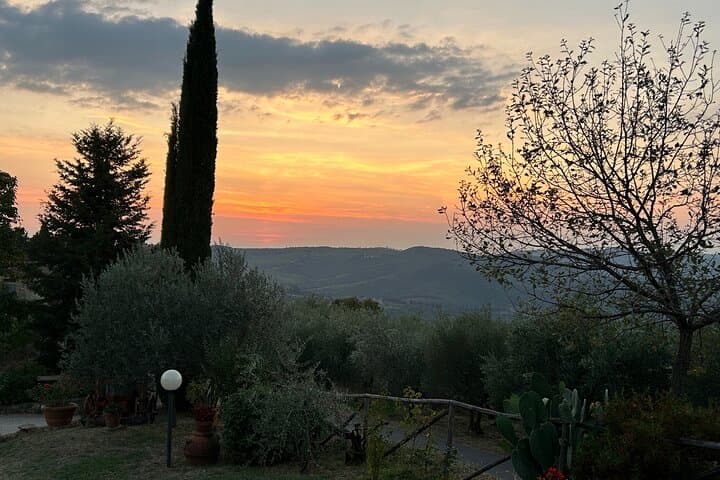 Exclusive Private Chianti Classico Experience from Florence