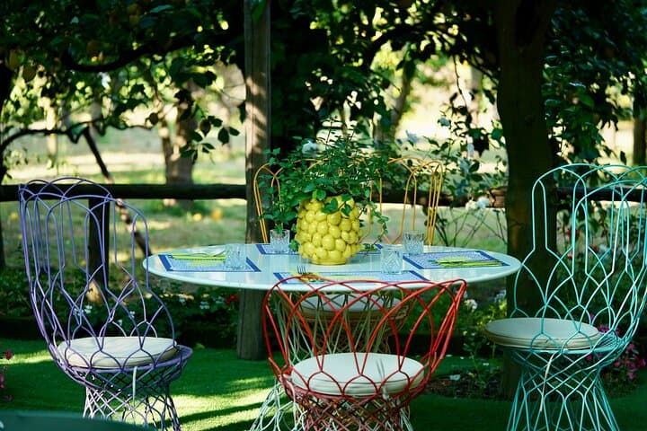 Our lemon garden