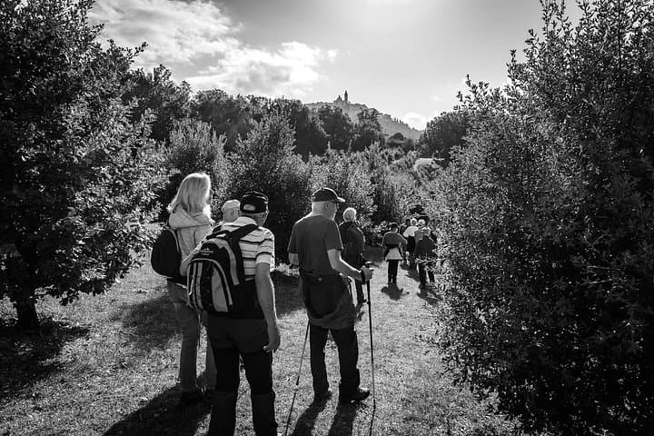 Umbria Truffle Hunting Experience with Tasting
