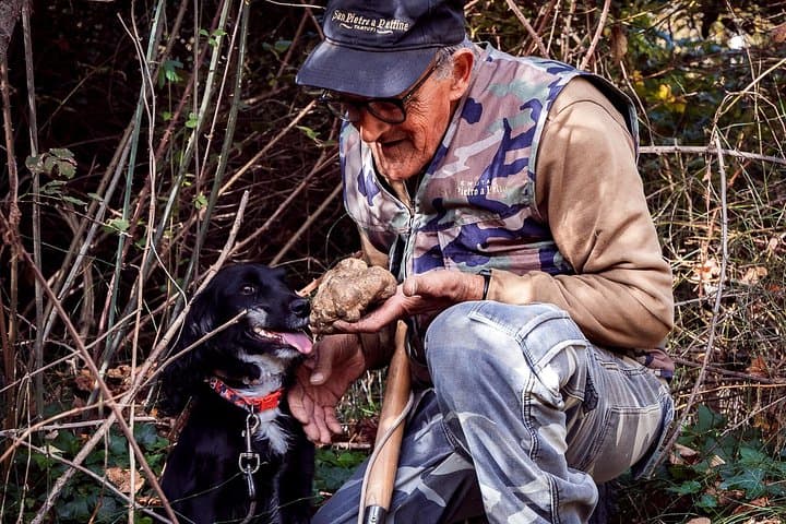 Umbria Truffle Hunting Experience with Tasting
