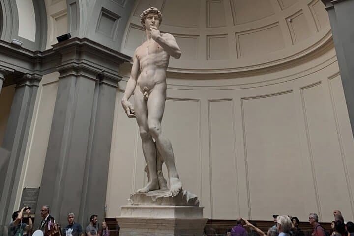Timed Entrance to Galleria dell'Accademia David's Statute