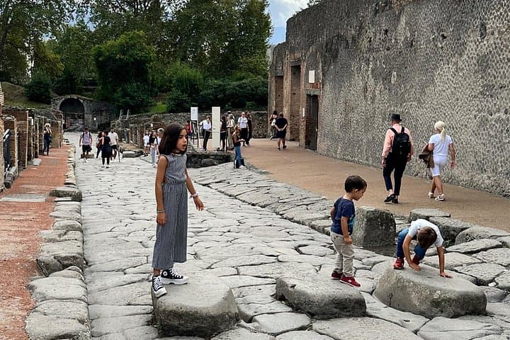 Pompeii Private Tour from Naples Port or Hotel Pick Up