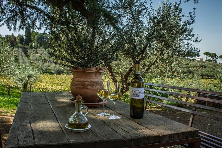 Classic Half-Day Wine Tour in Frascati with Lunch