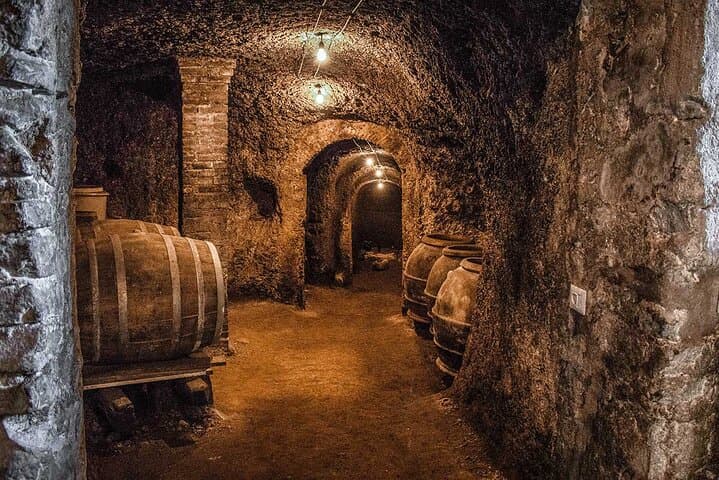 Classic Half-Day Wine Tour in Frascati with Lunch