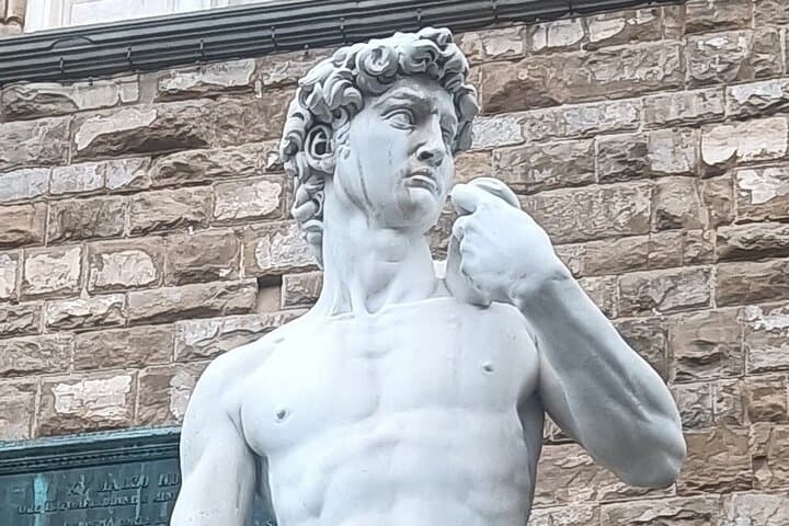 Timed Entrance to Galleria dell'Accademia David's Statute