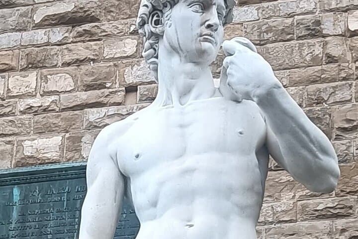 Timed Entrance to Galleria dell'Accademia David's Statute