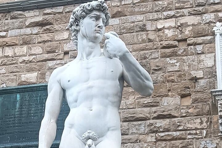 Accademia Gallery Timed Entrance for Statue of Real David