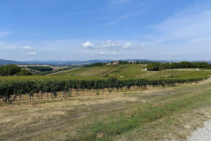 Brunello E-Bike Tour