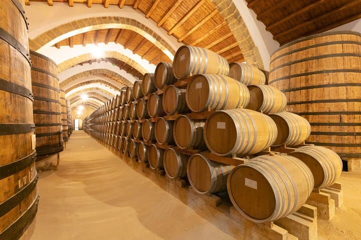 Visit to the Florio winery and wine tasting
