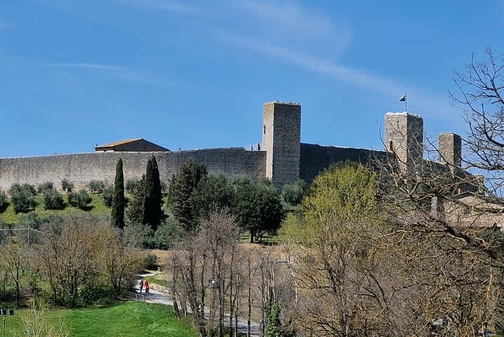 Private driver from Florence: Siena, San Gimignano, Pisa 12 hours