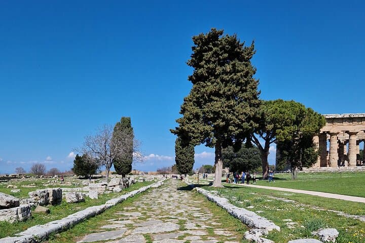 Paestum
