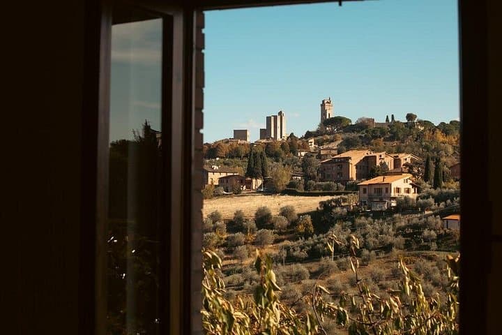 Private Wine & Evo Oil Tasting with Tuscan Meal