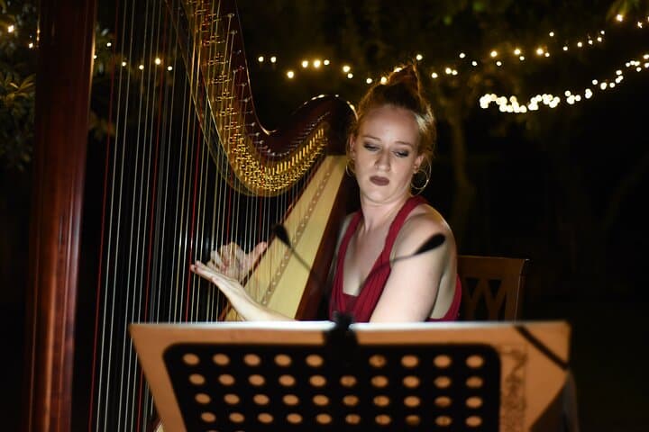 Live Opera Concert and Wine Tasting in Florence