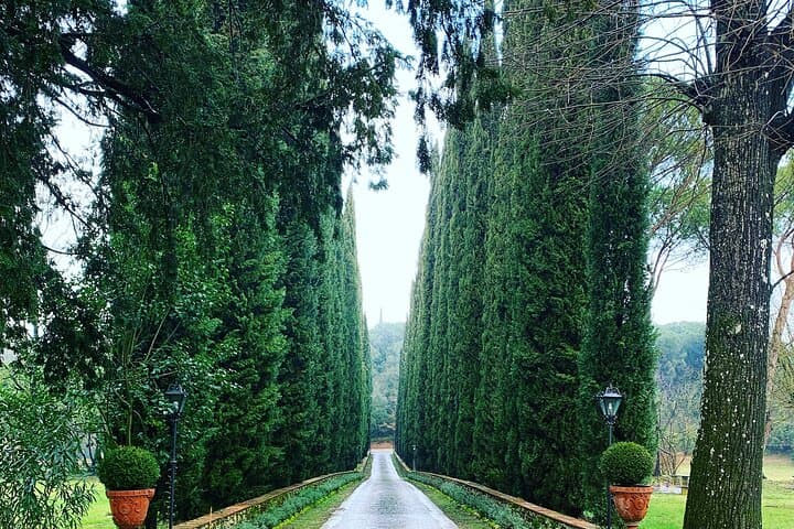 Transfer Rome to Siena