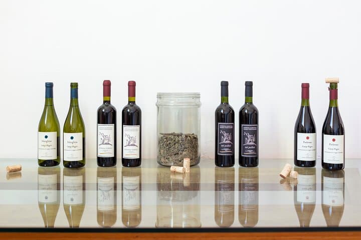 Vineyard experience in Pozzuoli
