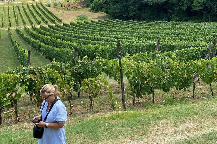 Tuscan Wine Tour in Pisa by van