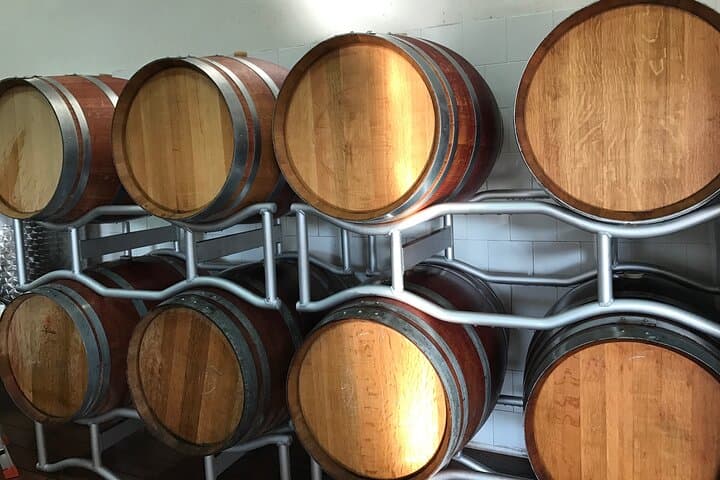 Vineyard experience in Pozzuoli