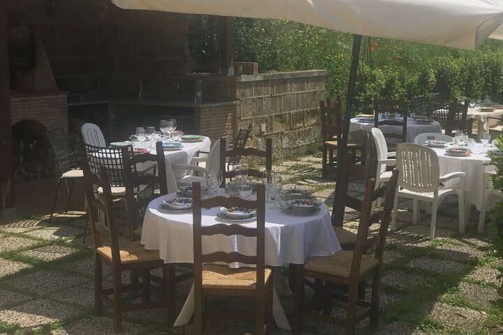 Vineyard experience in Pozzuoli