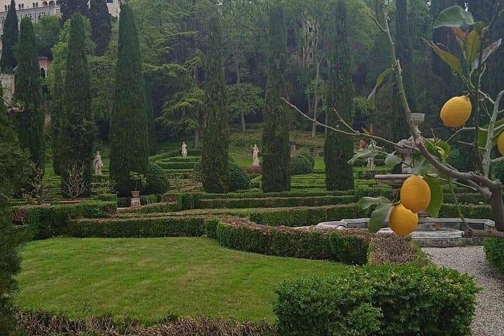 Lemon Tree pot at Giusti Garden