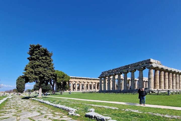 Half Day Private Tour to the Temples of Paestum