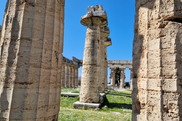 Half Day Private Tour to the Temples of Paestum