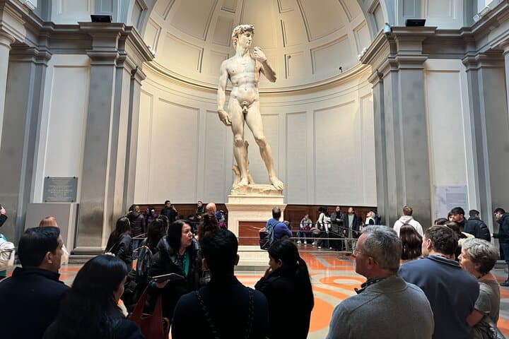 Guided Tour of the Michaelangelo's David
