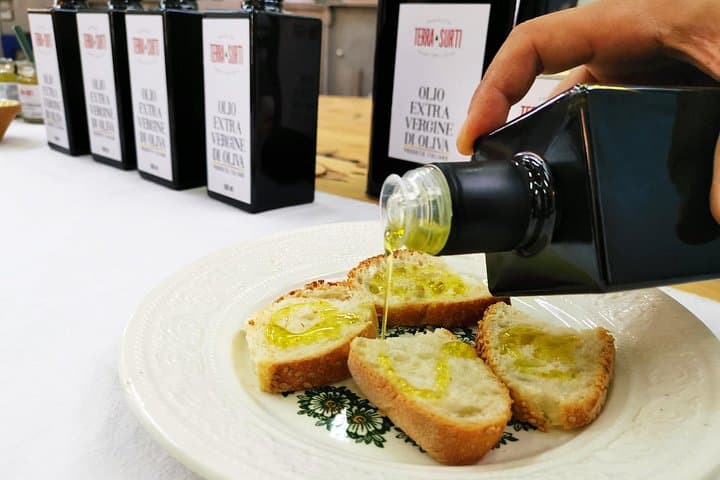Visit to the olive grove, oil tasting and lunch at the farm