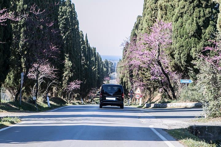 Viale dei Cipressi