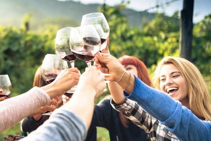 Chianti Classico wine Tour and Tasting