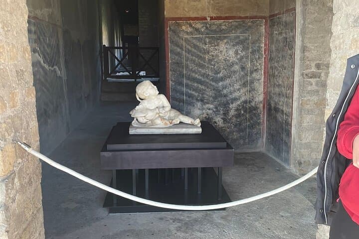 Pompeii, Herculaneum and Oplonti Private Day Tour from Rome