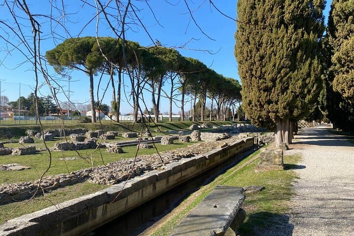 The Roman excavations